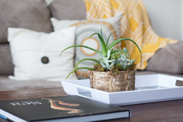 Spring Living Room Makeover-10
