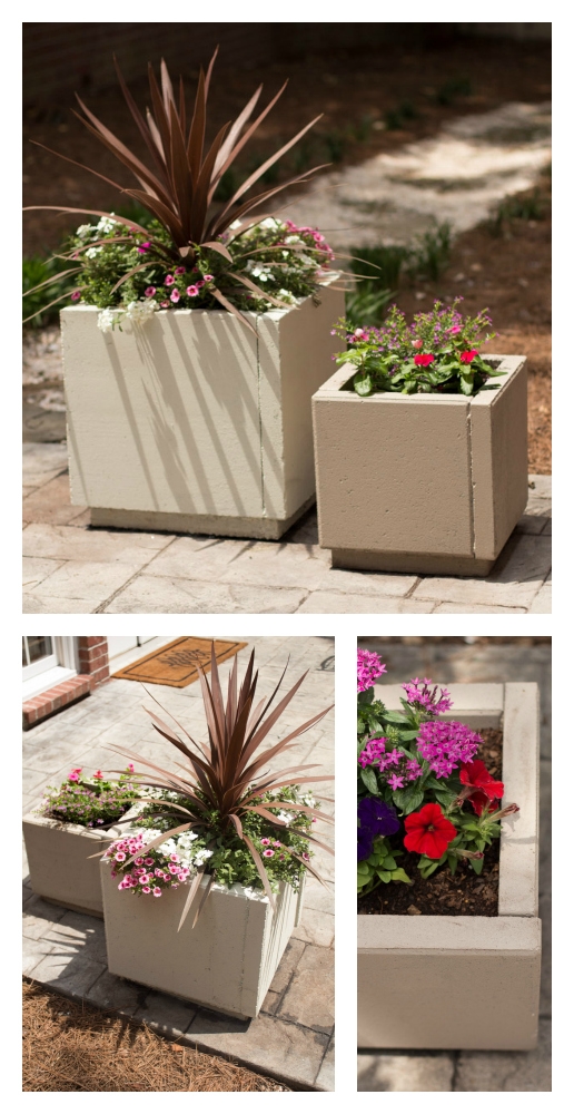 DIY Concrete Planters