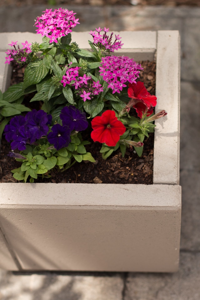 DIY Concrete Planters-11