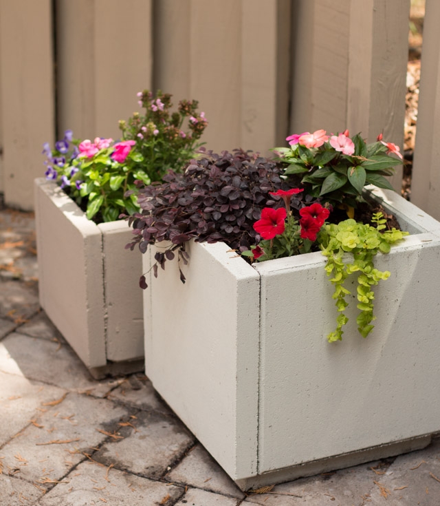 DIY Concrete Planters-12