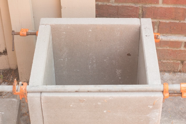 DIY Concrete Planters-2