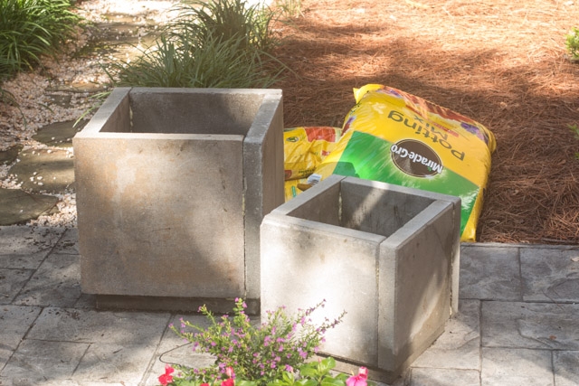 DIY Concrete Planters-3