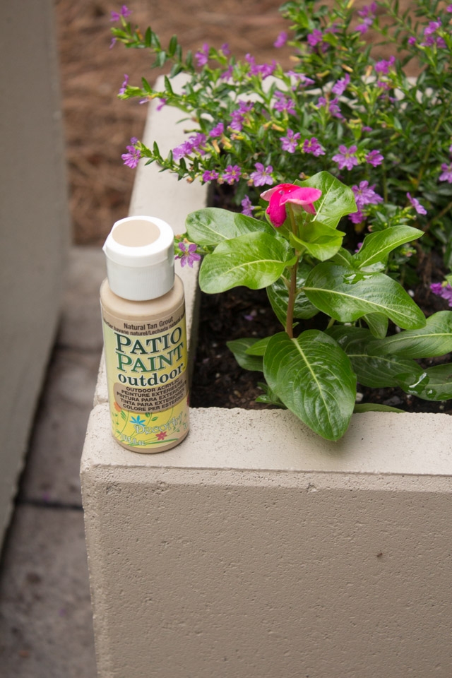 DIY Concrete Planters-4