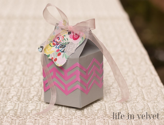 Chevron Carton Treat Boxes-15