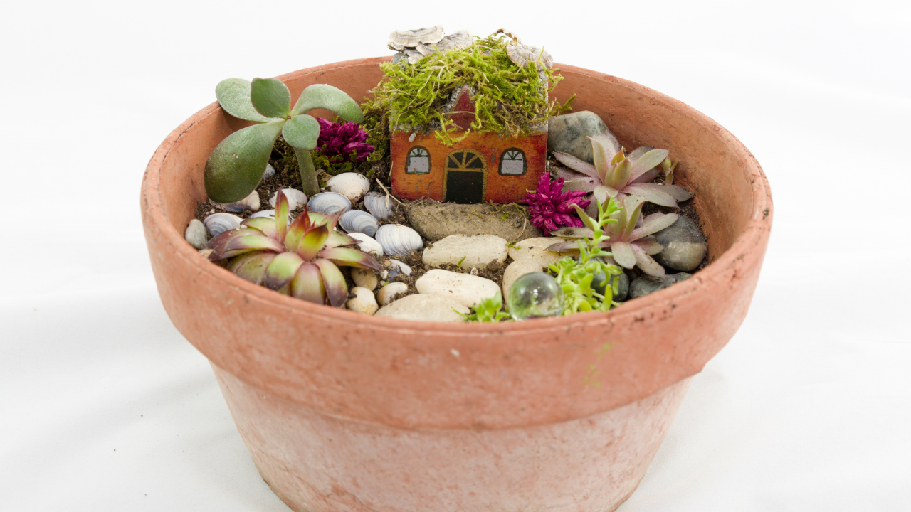 fairy garden