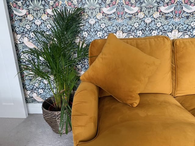 yellow velvet sofa
