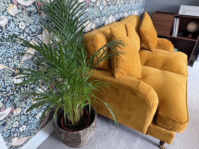 Wayfair 2 seater sofa