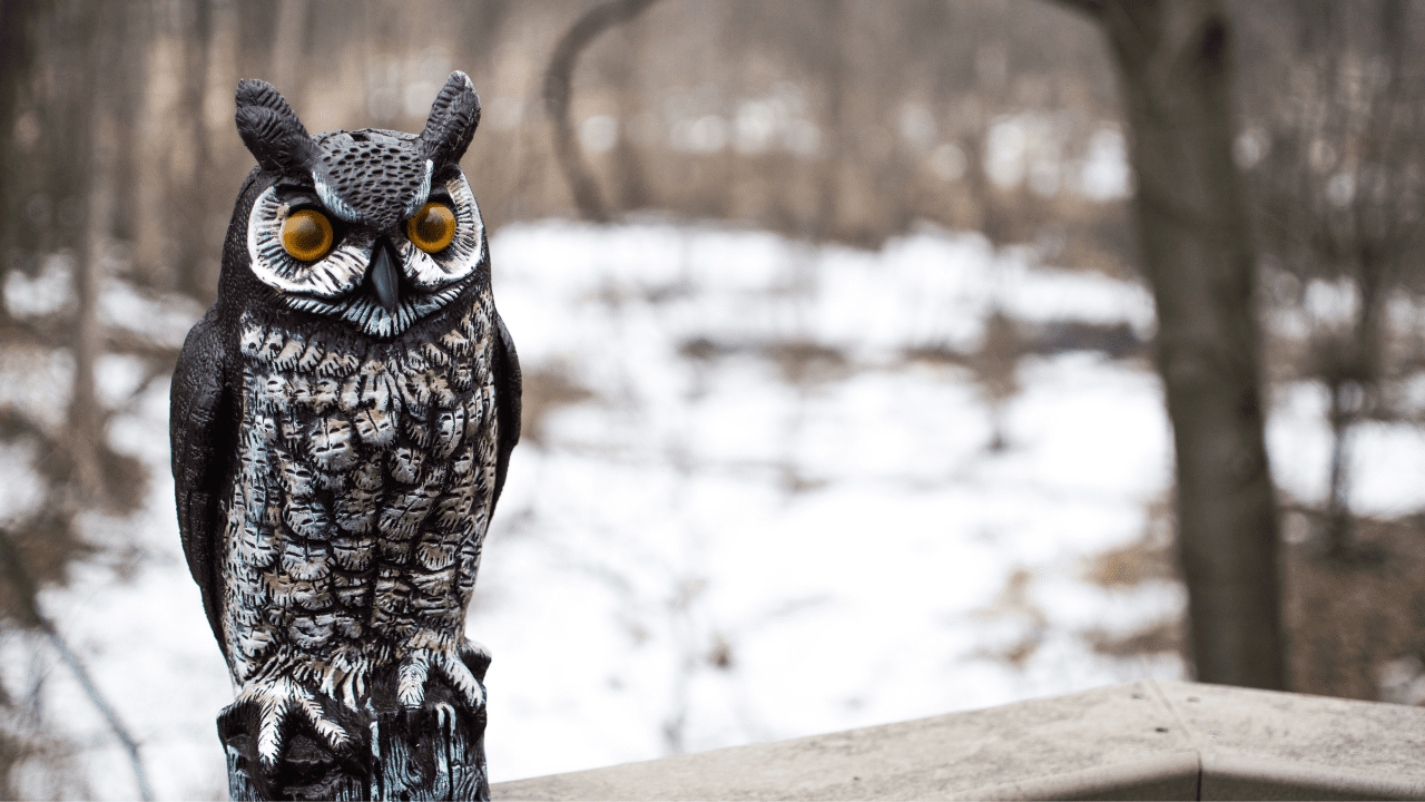 fake owl