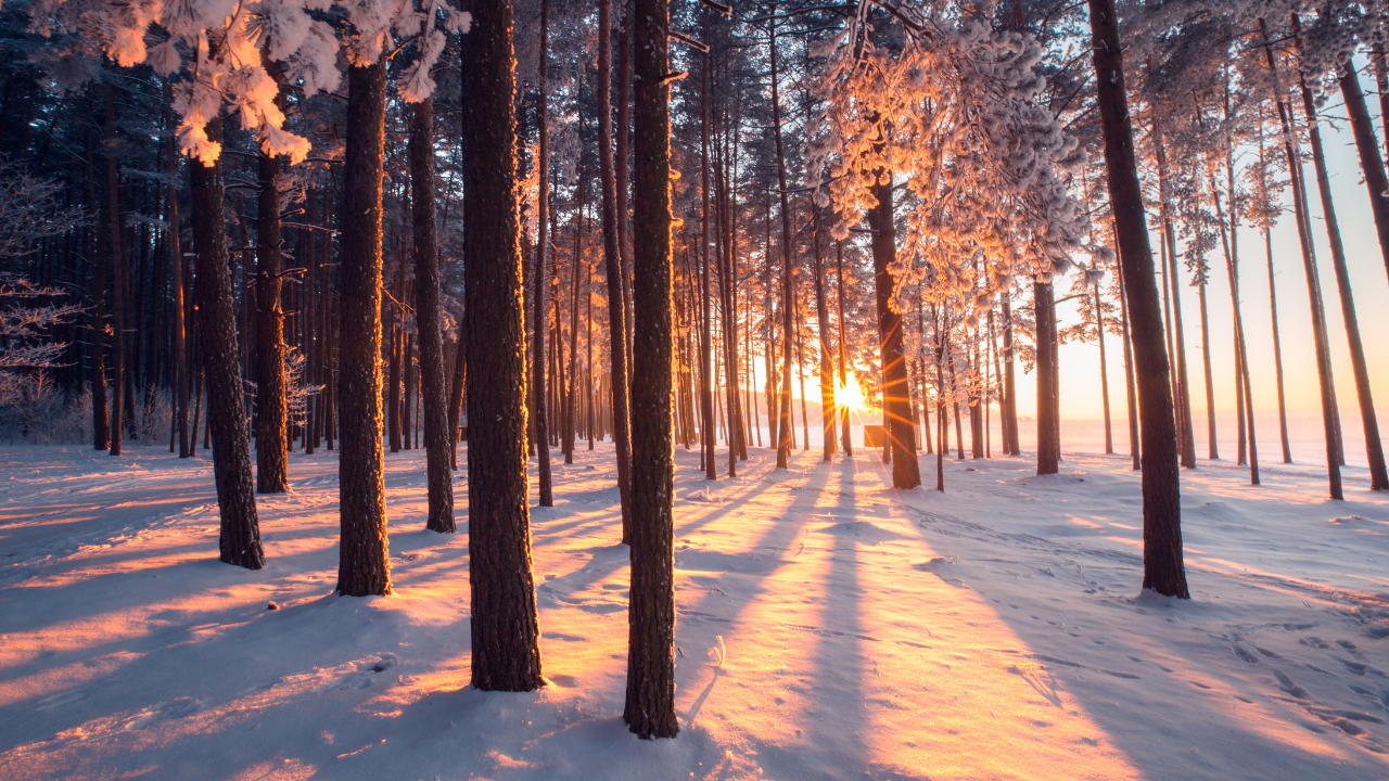 Winter Quotes to Warm Your Heart This Season (100  Beautiful Sayings