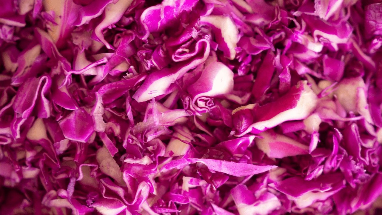 red cabbage