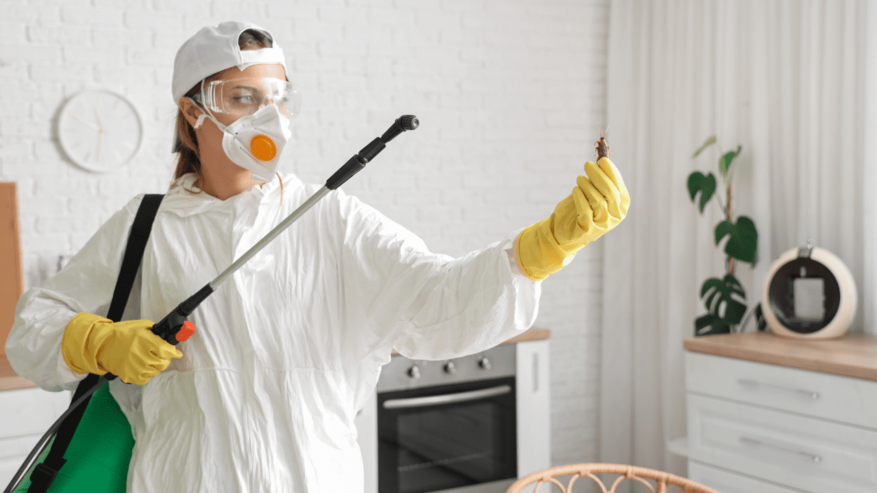 pest control