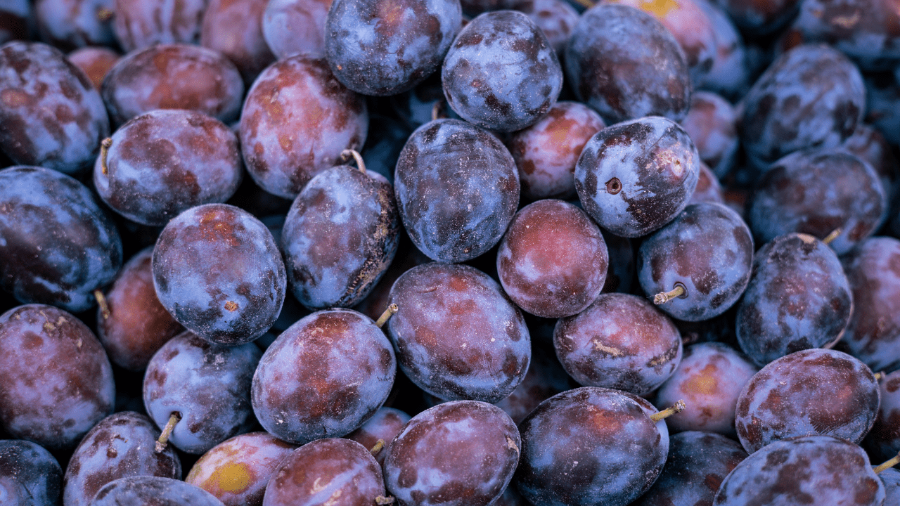 plums