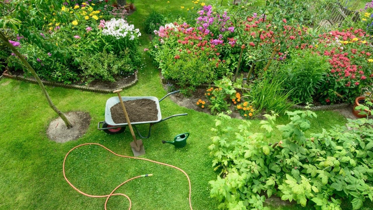 garden