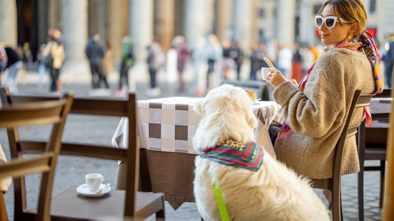 dog in cafe