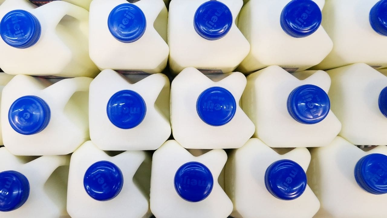 milk